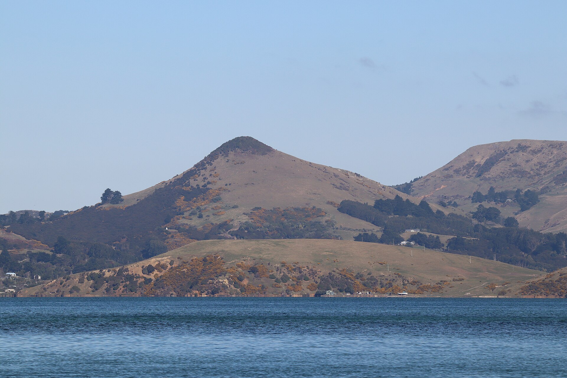 Dunedin and New Zealand’s Subantarctic Islands