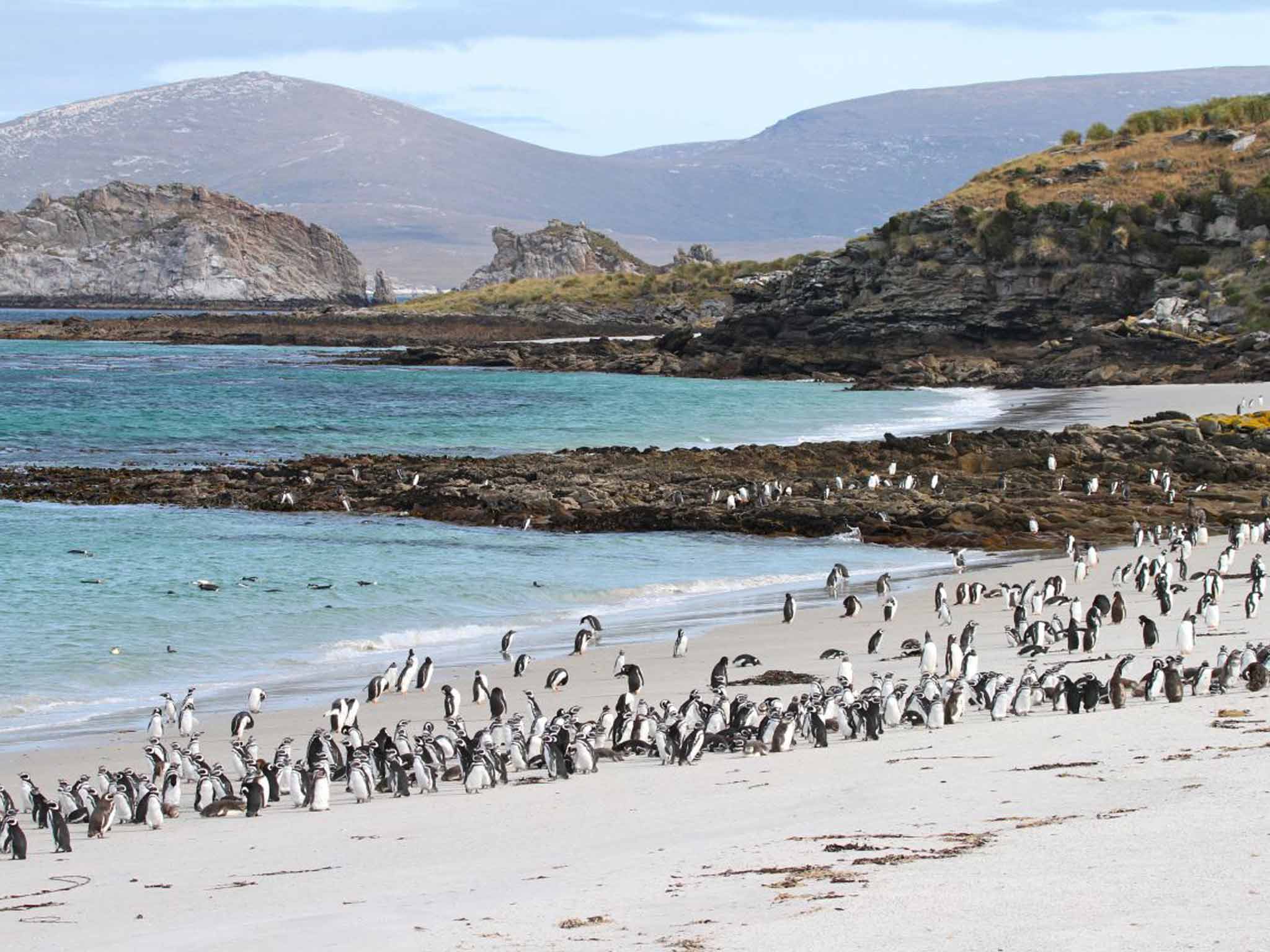 Falkland Islands