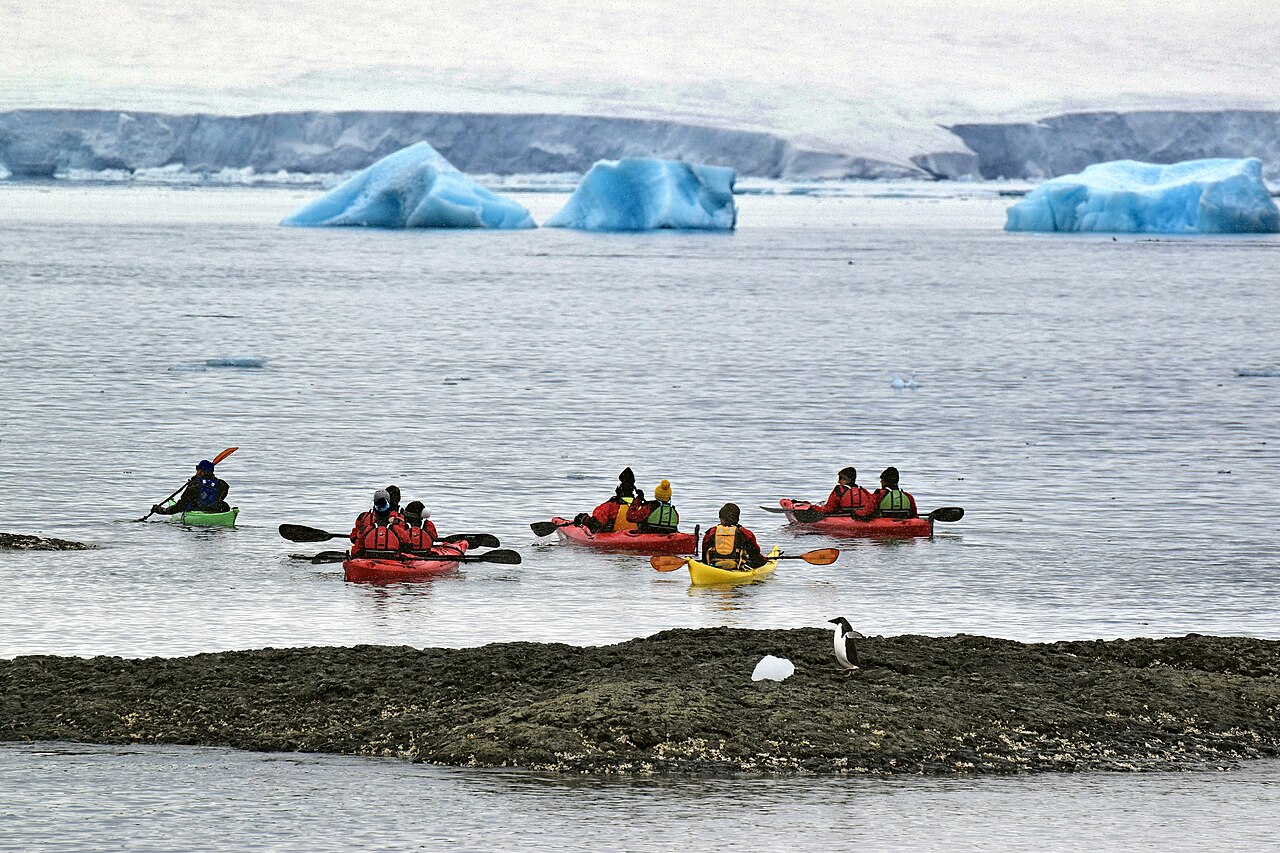 Explore the Antarctic Peninsula