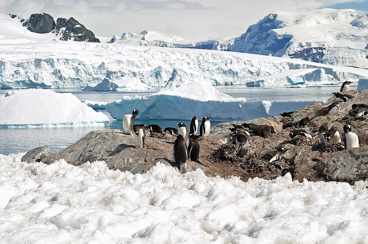 South Shetland Islands and Antarctic Peninsula