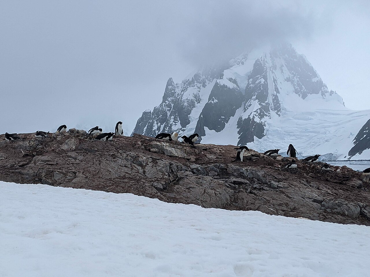 South Shetland Islands and Antarctic Peninsula