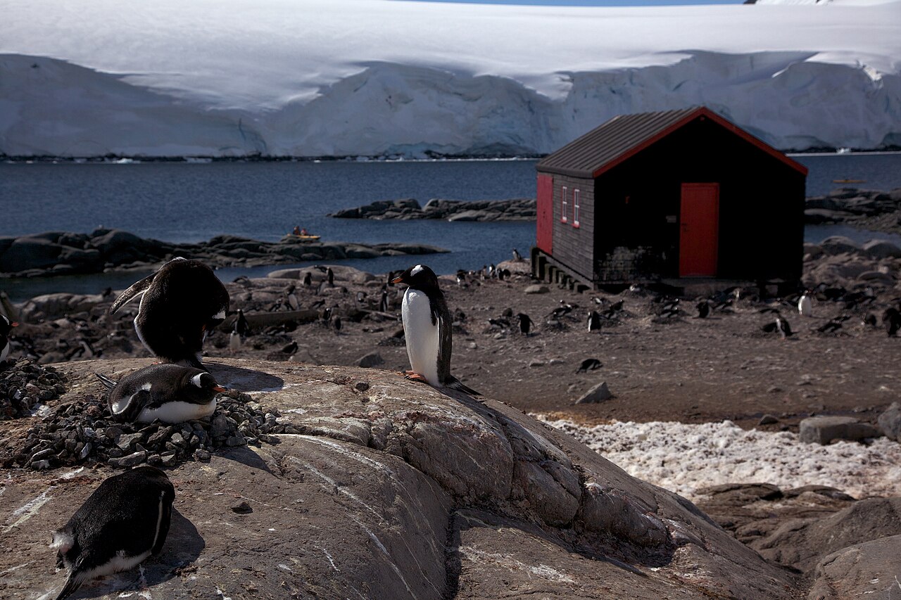 Explore the Antarctic Peninsula