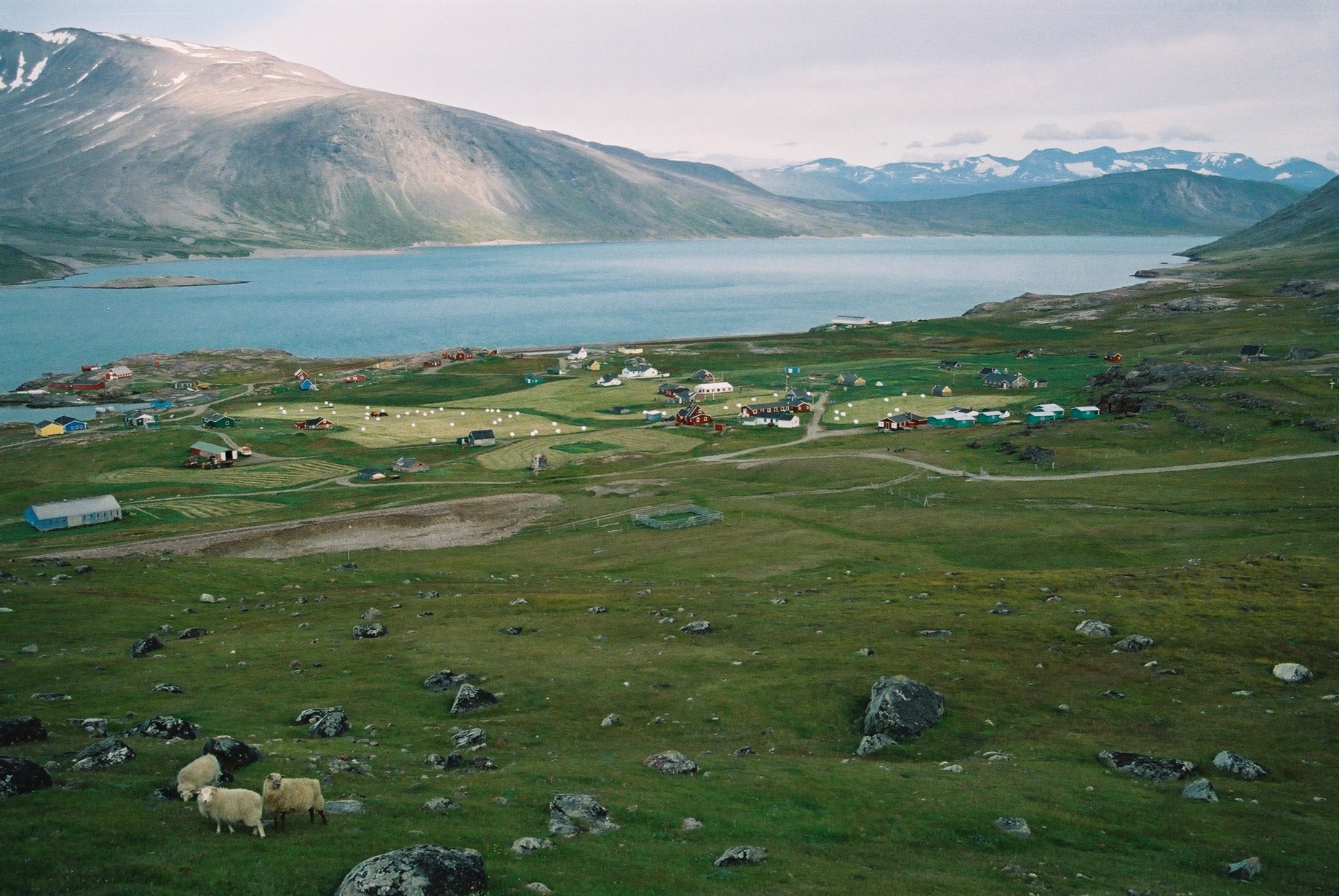 Eriksfjord and Igaliku